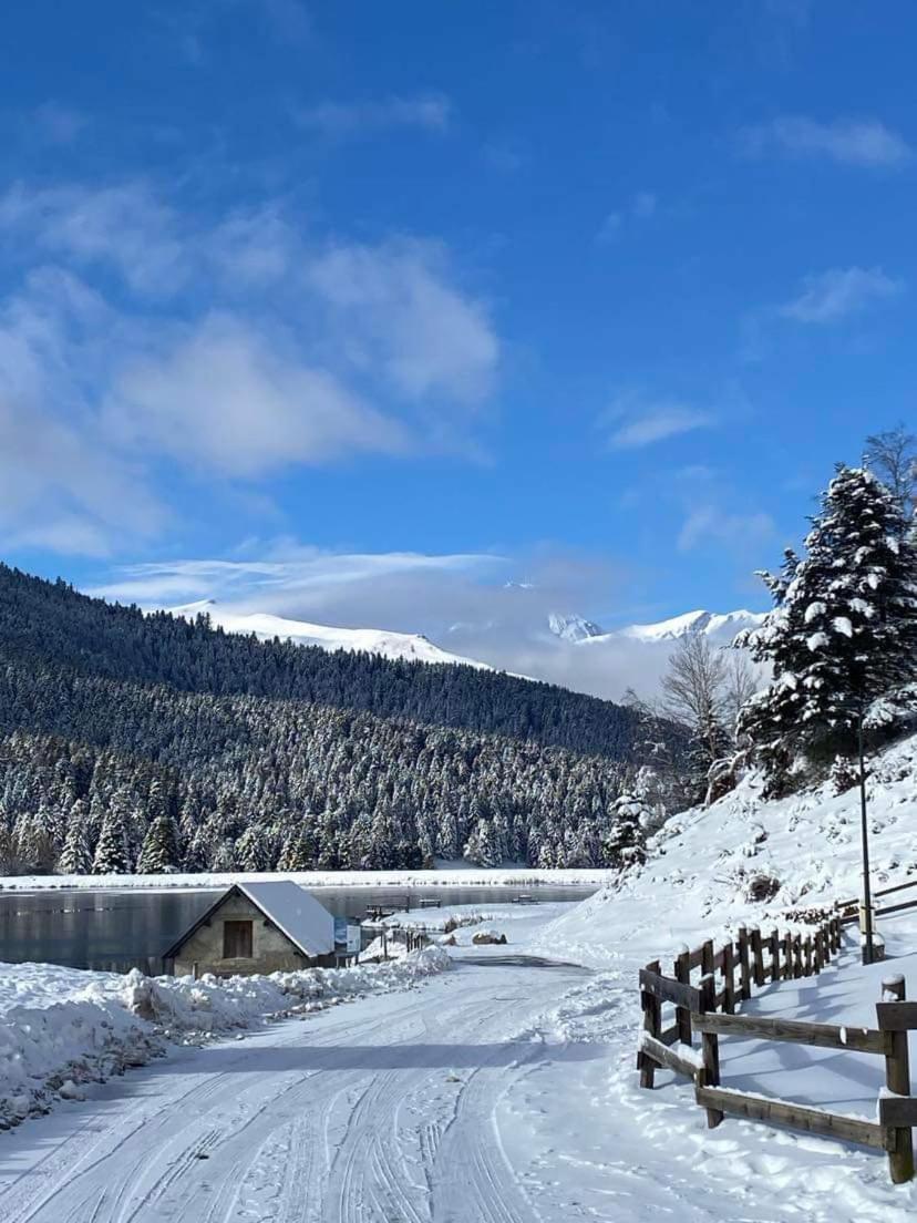 Gite Du Montagnol A Payolle 圣玛丽德康庞 外观 照片