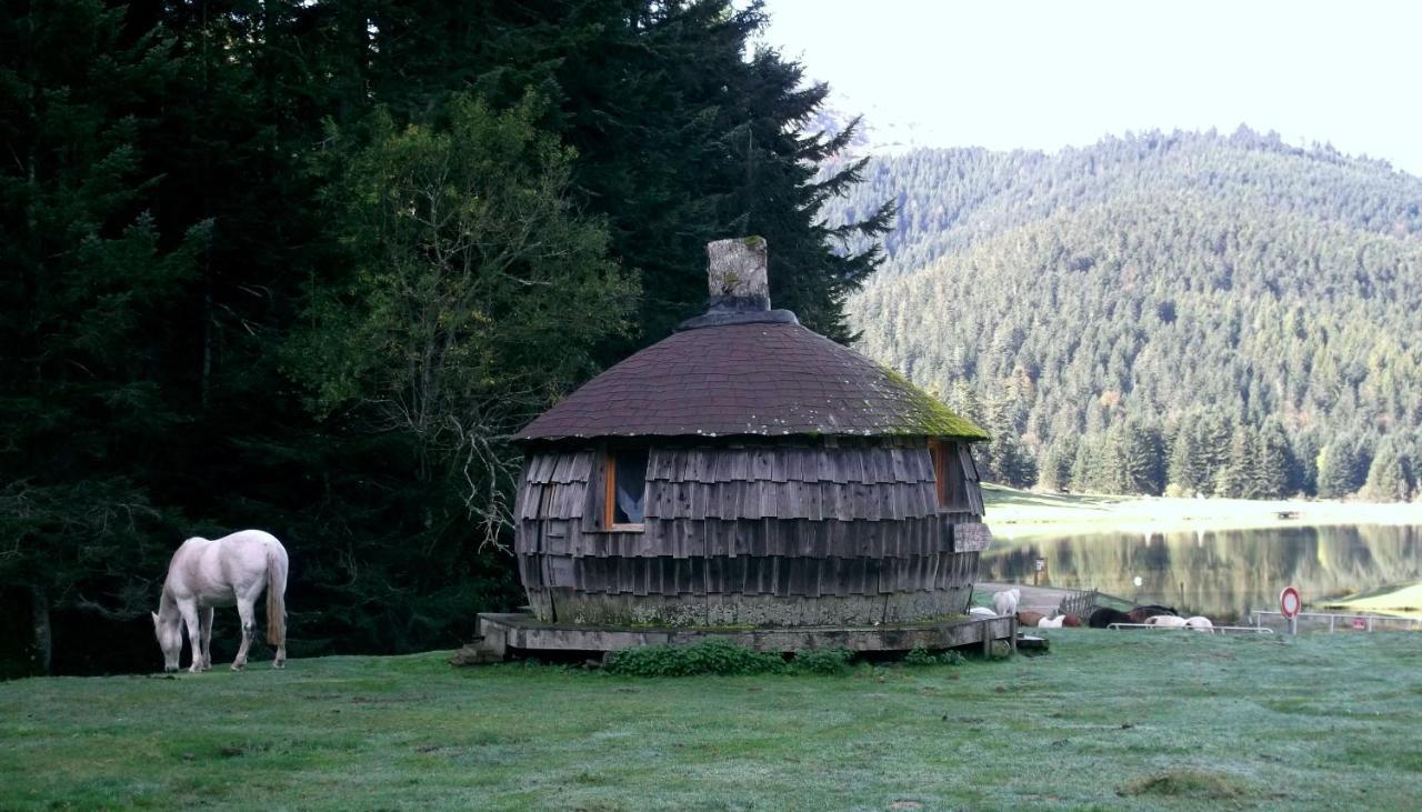Gite Du Montagnol A Payolle 圣玛丽德康庞 外观 照片