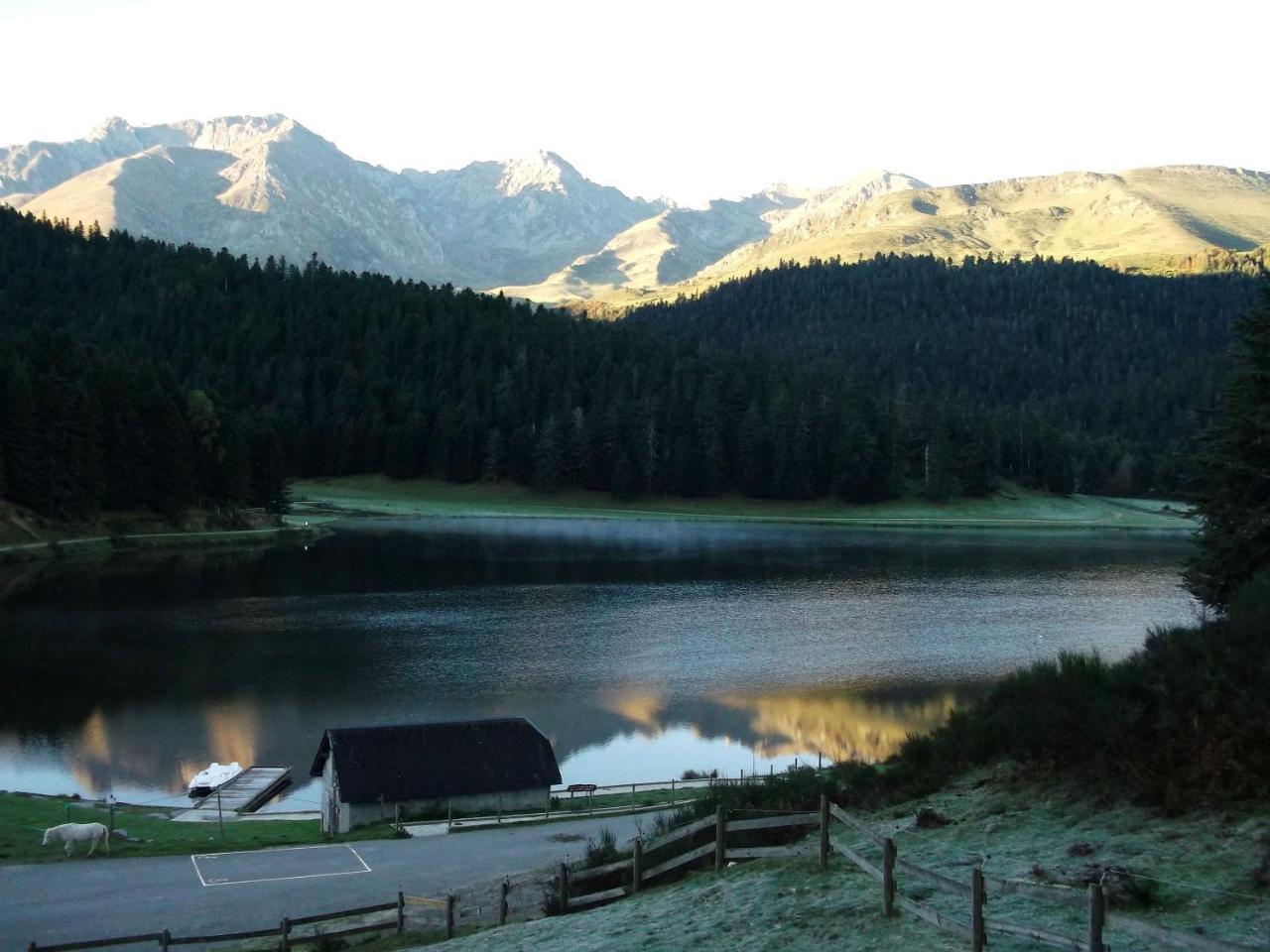 Gite Du Montagnol A Payolle 圣玛丽德康庞 外观 照片
