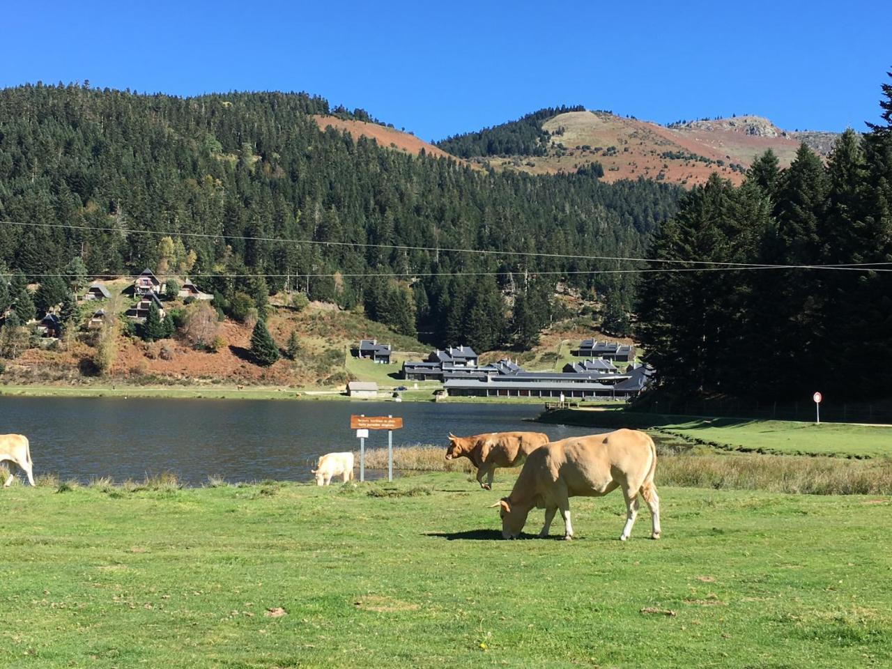 Gite Du Montagnol A Payolle 圣玛丽德康庞 外观 照片
