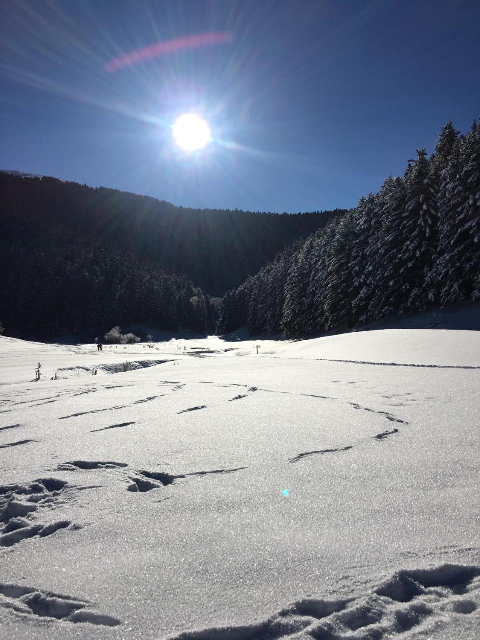 Gite Du Montagnol A Payolle 圣玛丽德康庞 外观 照片